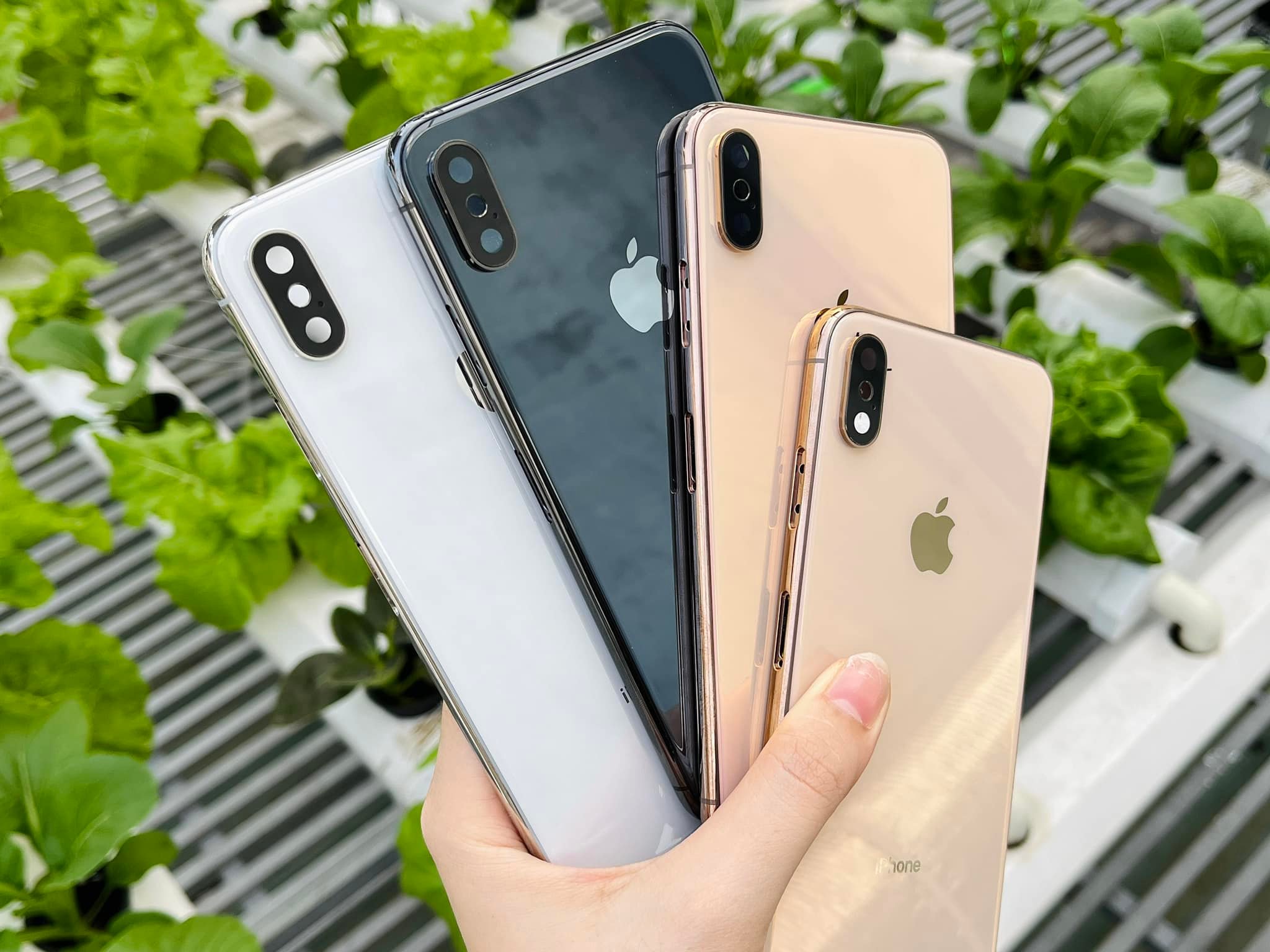 xsmax sườn